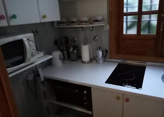 Apartamento Centro Esencia Cordobesa. Mezquita