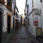 Centro Esencia Cordobesa. Mezquita