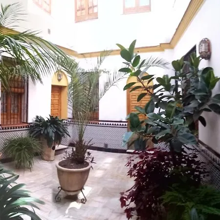 Centro Esencia Cordobesa. Mezquita *