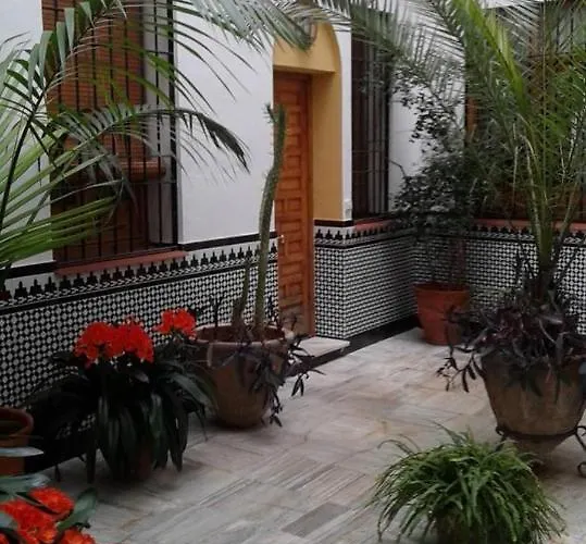 Centro Esencia Cordobesa. Mezquita