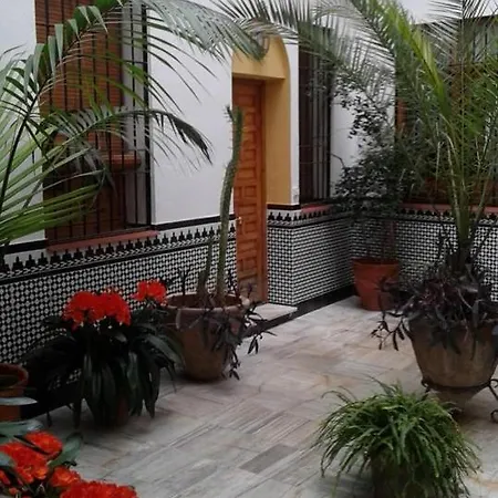 Centro Esencia Cordobesa. Mezquita